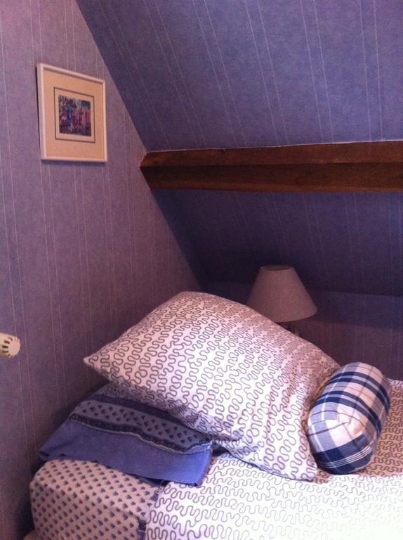 Les Vieux Guays Bed and Breakfast Cerdon  Buitenkant foto