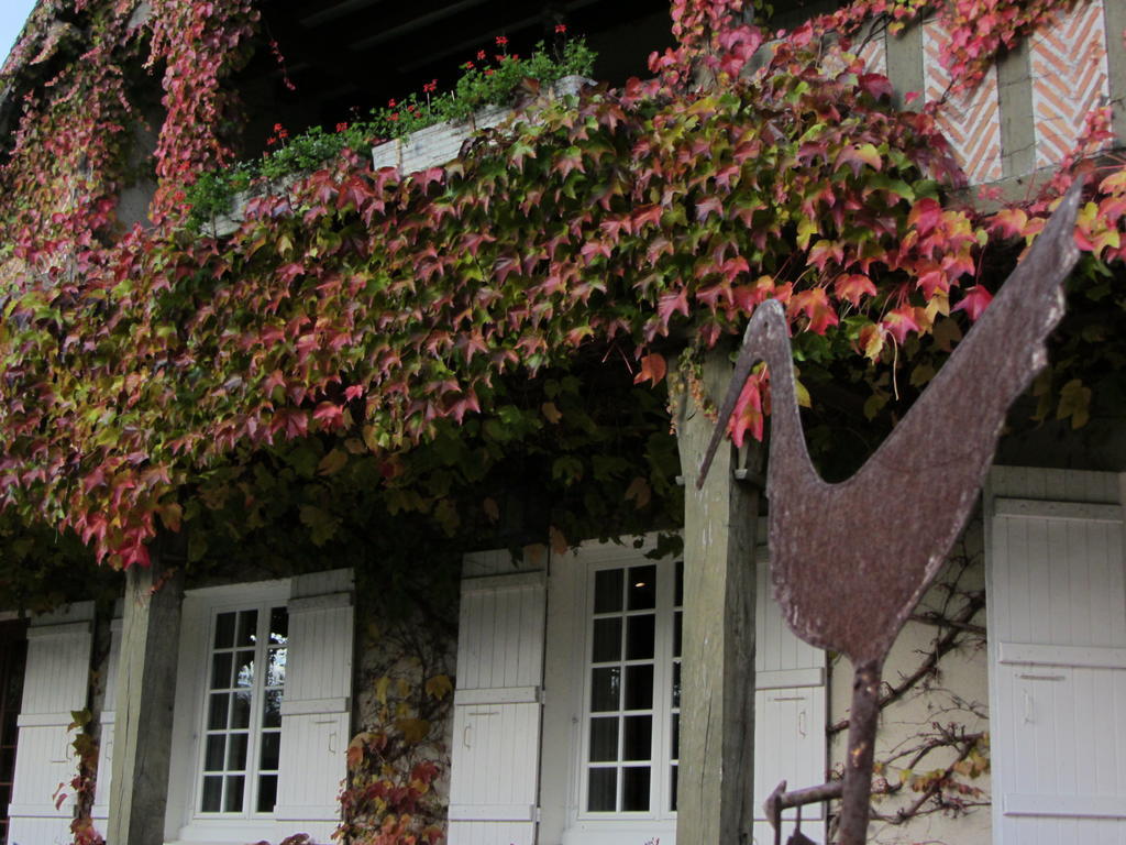 Les Vieux Guays Bed and Breakfast Cerdon  Buitenkant foto