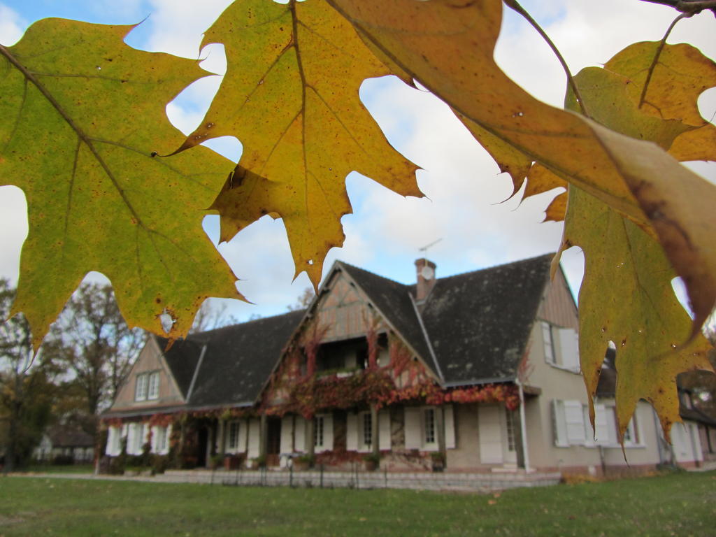 Les Vieux Guays Bed and Breakfast Cerdon  Buitenkant foto