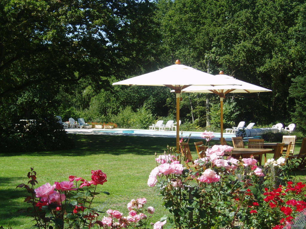 Les Vieux Guays Bed and Breakfast Cerdon  Buitenkant foto