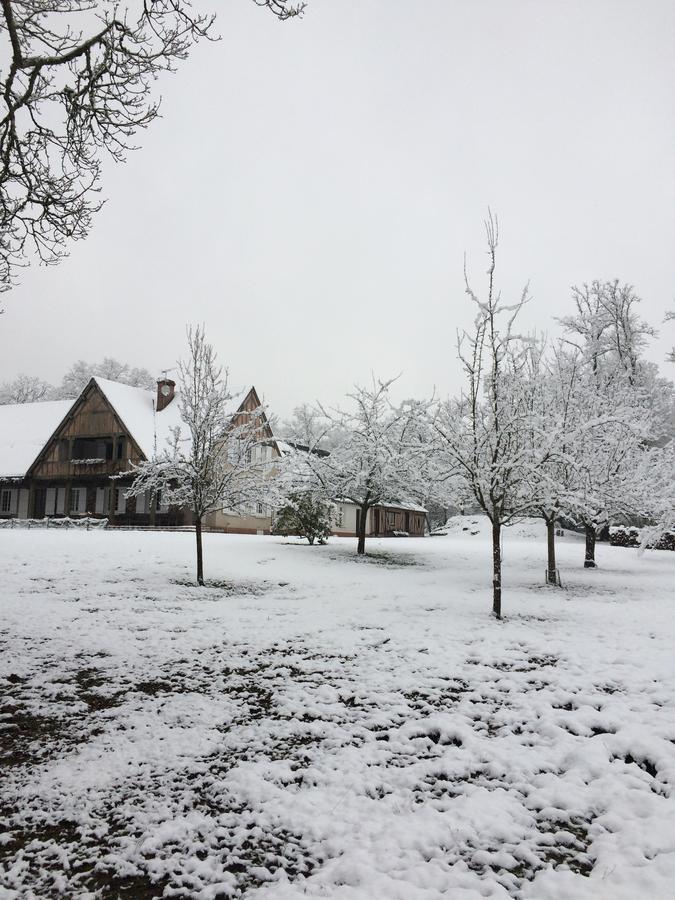 Les Vieux Guays Bed and Breakfast Cerdon  Buitenkant foto